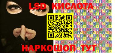гидра Краснодар