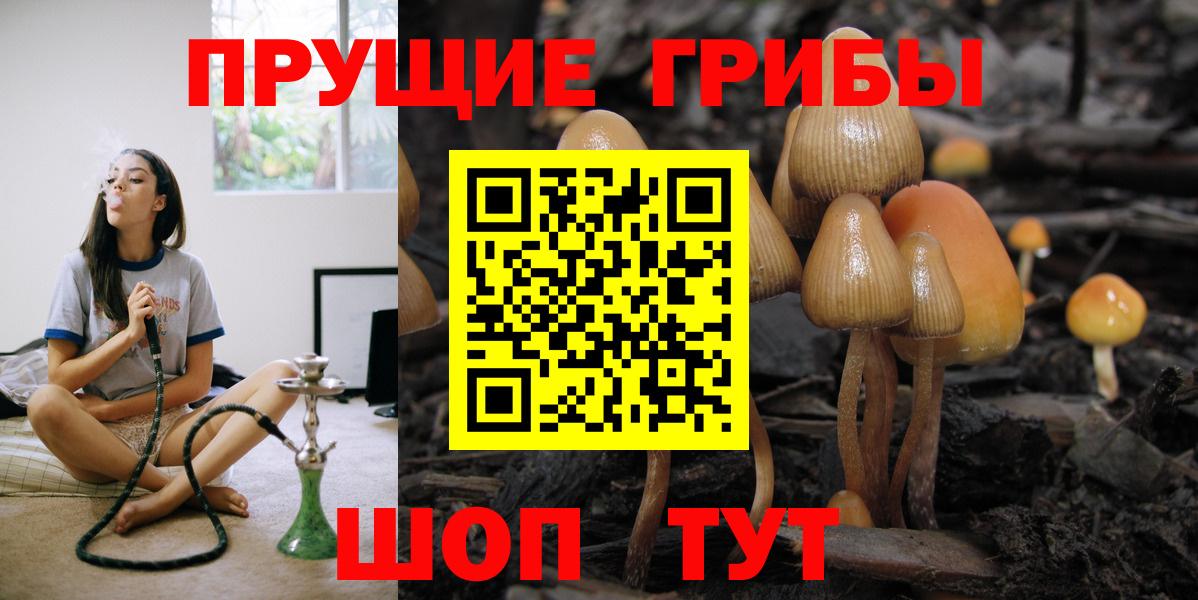 Галлюциногенные грибы Psilocybe Чебаркуль